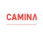 CAMINA – Centro de Estudios de Movilidad Peatonal